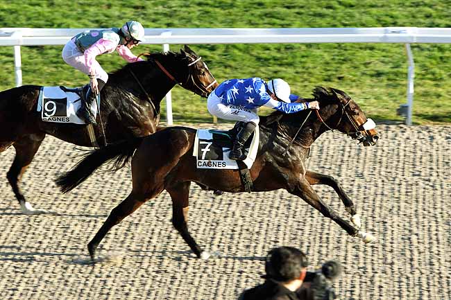 Arrivée quinté pmu PRIX DU VIEUX PORT à CAGNES-SUR-MER