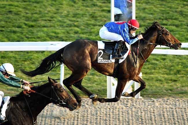 Arrivée quinté pmu PRIX DES OLIVIERS à CAGNES-SUR-MER