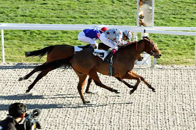 Arrivée quinté pmu PRIX DES ORANGERS à CAGNES-SUR-MER