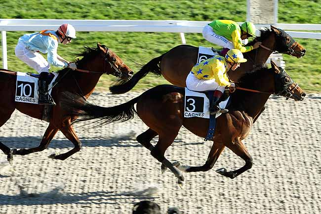 Arrivée quinté pmu PRIX DES CITRONNIERS à CAGNES-SUR-MER