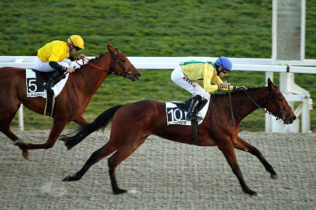 Arrivée quinté pmu PRIX DE DEAUVILLE à CAGNES-SUR-MER