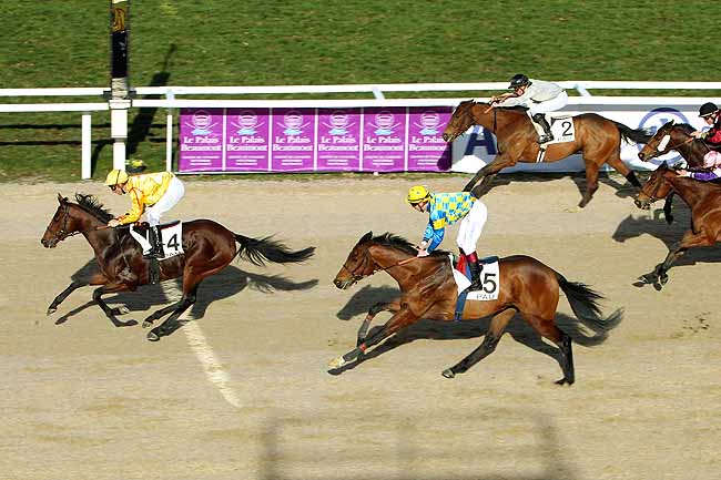 Arrivée quinté pmu PRIX D'ARAUJUZON à PAU