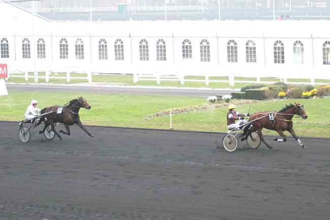 Arrivée quinté pmu PRIX DU LUXEMBOURG à PARIS-VINCENNES