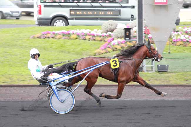 Arrivée quinté pmu PRIX DE SARLAT à PARIS-VINCENNES