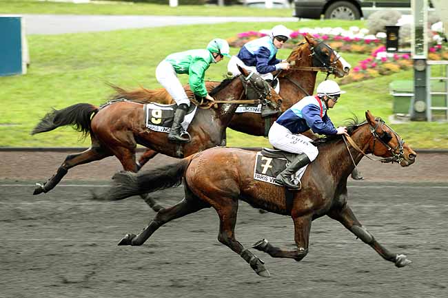 Arrivée quinté pmu PRIX DE CHOLET à PARIS-VINCENNES