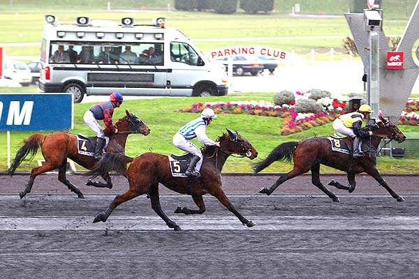 Arrivée quinté pmu PRIX DE DOZULE à PARIS-VINCENNES