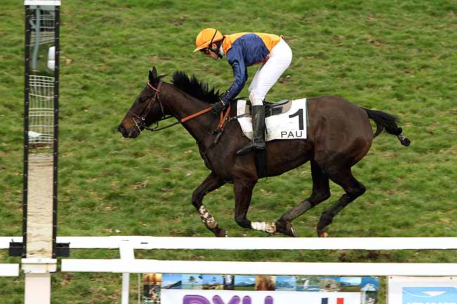 Arrivée quinté pmu PRIX GUY LEFRANT (PRIX DURALOCK) à PAU