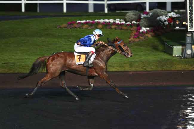 Arrivée quinté pmu PRIX DE DAUMESNIL à PARIS-VINCENNES