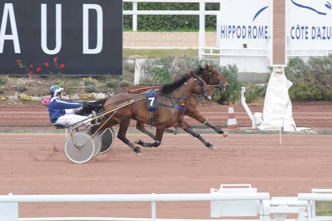 Arrivée quinté pmu PRIX DES MIMOSAS à CAGNES-SUR-MER