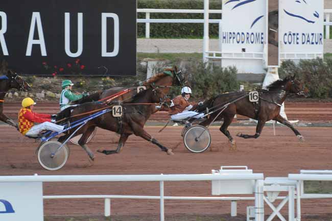 Arrivée quinté pmu PRIX DES LYS MARTAGON à CAGNES-SUR-MER