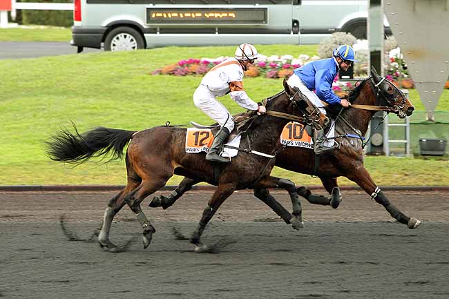 Arrivée quinté pmu PRIX DE BOUGUENAIS à PARIS-VINCENNES
