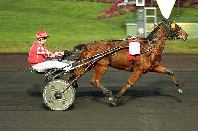 Arrivée quinté pmu PRIX DE FREJUS à PARIS-VINCENNES