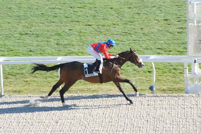 Arrivée quinté pmu PRIX DE SAINT-CLOUD à CAGNES-SUR-MER