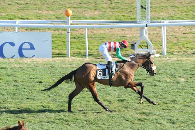 Arrivée quinté pmu PRIX DES SPIREES à CAGNES-SUR-MER