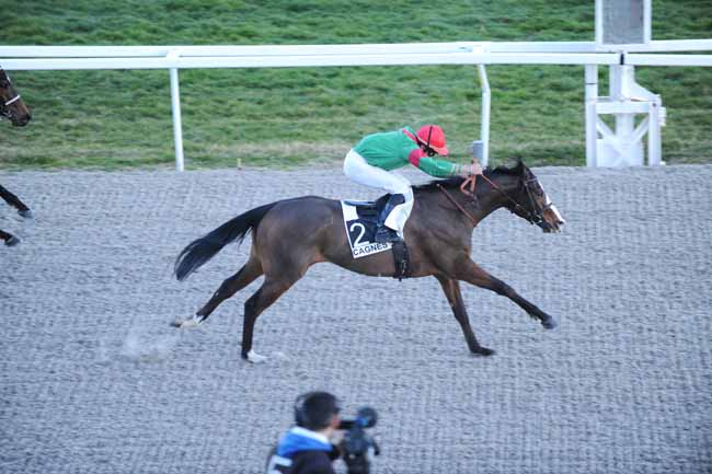 Arrivée quinté pmu PRIX DE JUAN-LES-PINS à CAGNES-SUR-MER