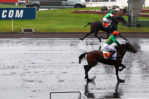 Arrivée quinté pmu PRIX HOLLY DU LOCTON à PARIS-VINCENNES