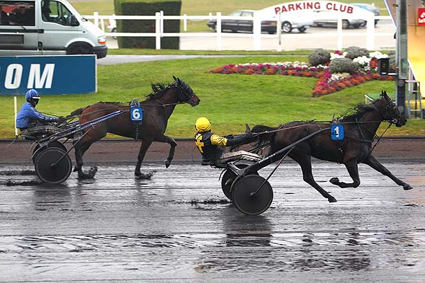 Arrivée quinté pmu PRIX DE BOIS LE ROI à PARIS-VINCENNES