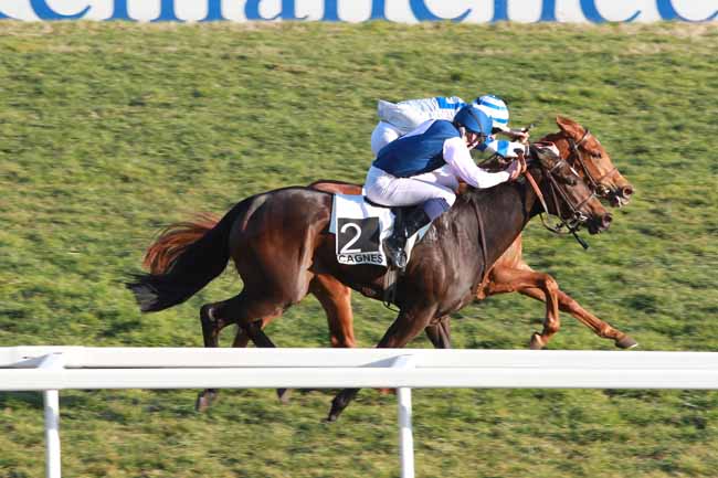 Arrivée quinté pmu PRIX DU FORT VAUBAN à CAGNES-SUR-MER