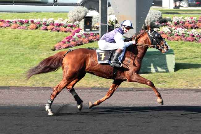 Arrivée quinté pmu PRIX DE GRENADE à PARIS-VINCENNES