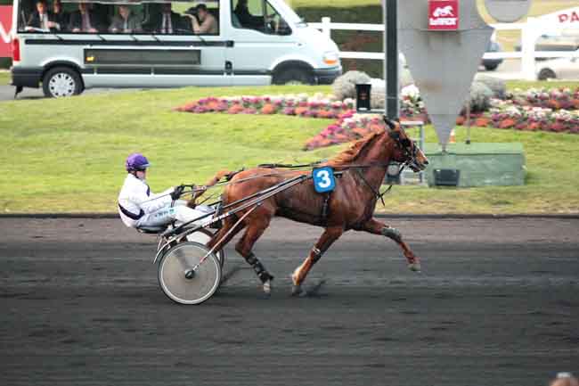 Arrivée quinté pmu PRIX DU FINISTERE à PARIS-VINCENNES