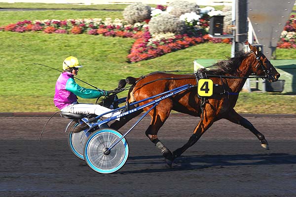 Arrivée quinté pmu PRIX DE CARHAIX à PARIS-VINCENNES