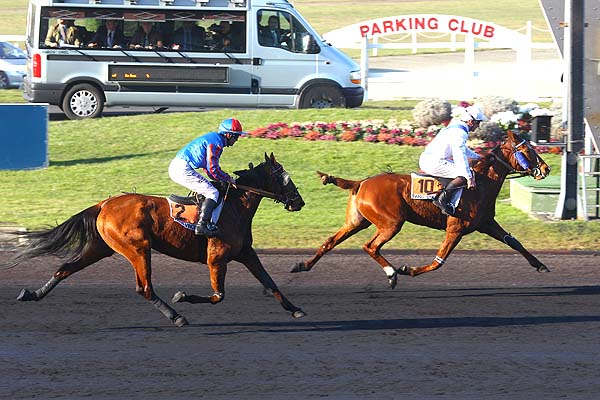 Arrivée quinté pmu PRIX DE CERISY à PARIS-VINCENNES