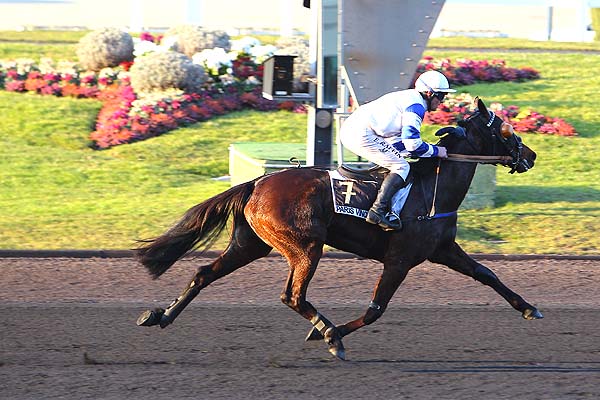 Arrivée quinté pmu PRIX DE RUGLES à PARIS-VINCENNES