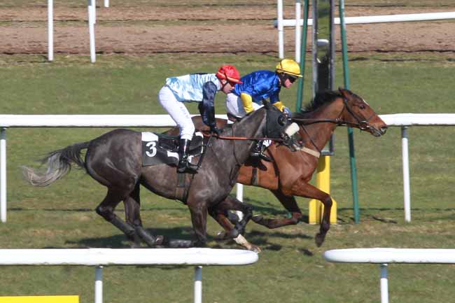 Arrivée quinté pmu PRIX DE LA SOCIETE DES COURSES DE DIEPPE à FONTAINEBLEAU