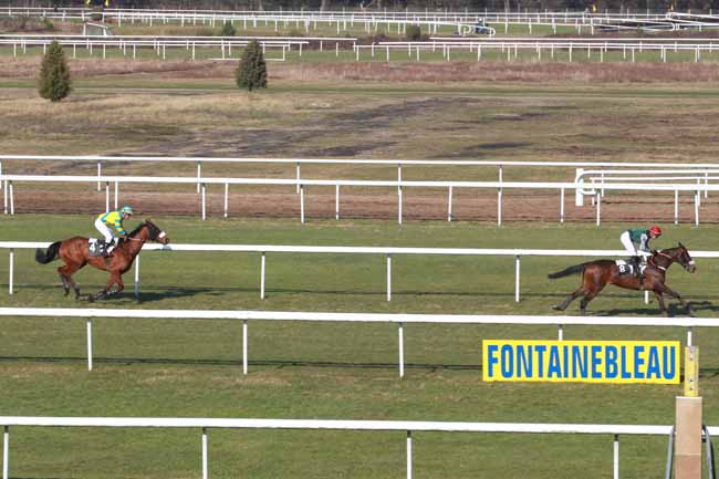 Arrivée quinté pmu PRIX MAURICE GILLOIS à FONTAINEBLEAU