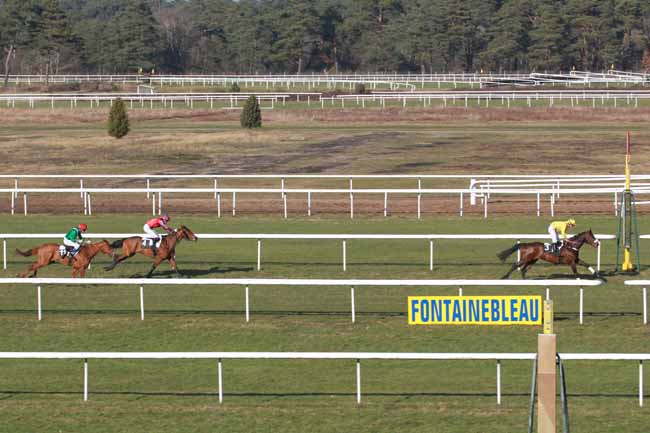 Arrivée quinté pmu PRIX GENERAL MARION à FONTAINEBLEAU