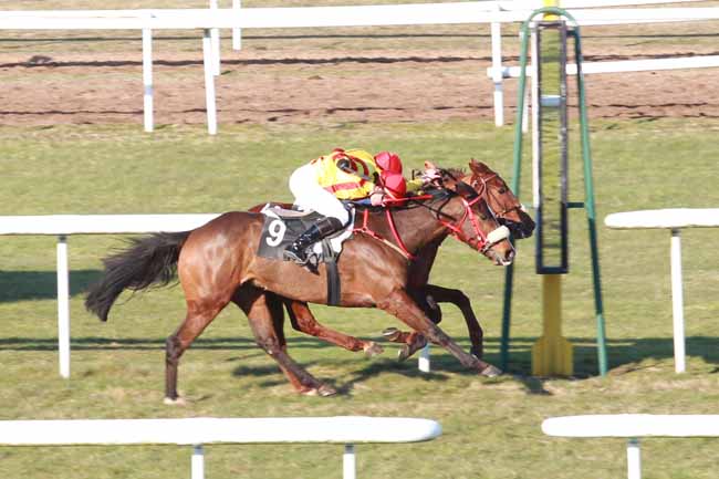 Arrivée quinté pmu PRIX DE LA COMMUNAUTE DE COMMUNES FONTAINEBLEAU-AVON à FONTAINEBLEAU