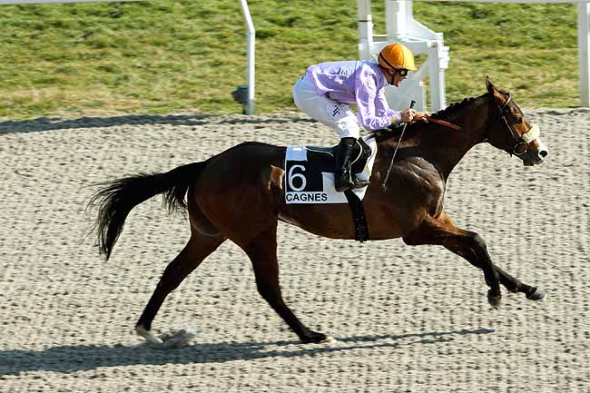 Arrivée quinté pmu PRIX DE MONTE CARLO à CAGNES-SUR-MER