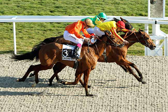 Arrivée quinté pmu PRIX DE CAVAILLON à CAGNES-SUR-MER