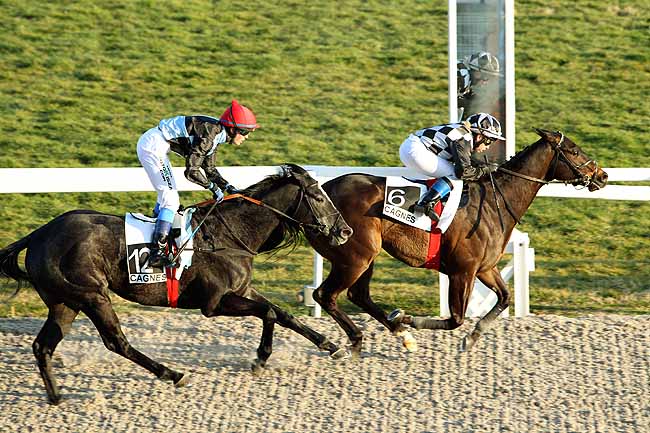 Arrivée quinté pmu PRIX DE FREJUS à CAGNES-SUR-MER