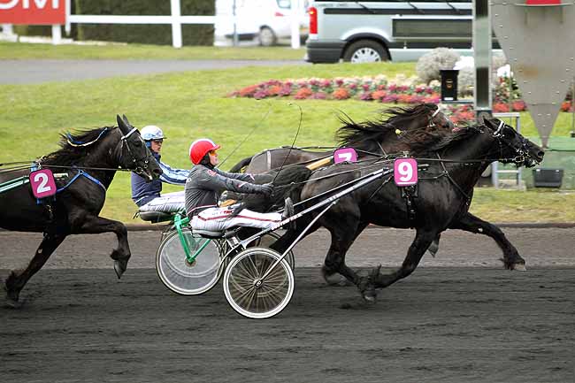 Arrivée quinté pmu PRIX DES TROTTEURS ''SANG-FROID'' à PARIS-VINCENNES