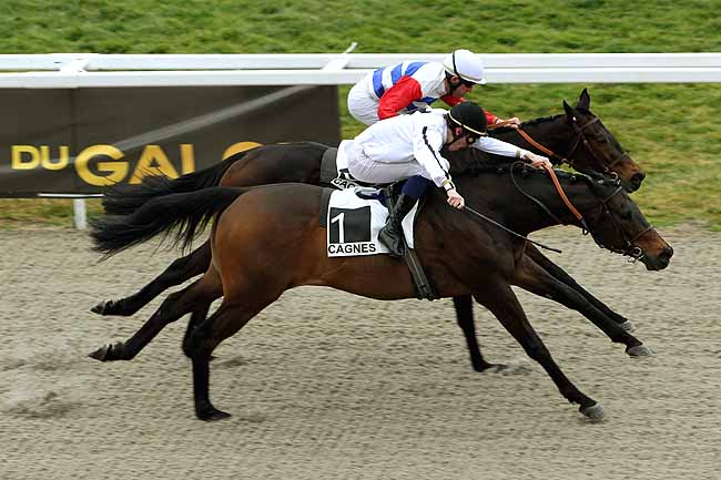 Arrivée quinté pmu PRIX SKY LAWYER - DUBAI-TRIAL à CAGNES-SUR-MER