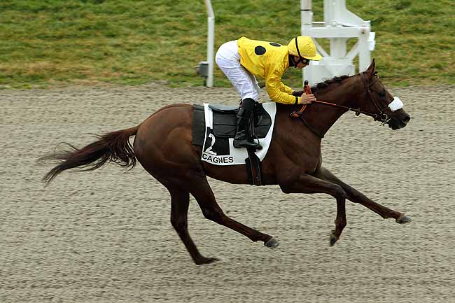 Arrivée quinté pmu PRIX DES ALPILLES à CAGNES-SUR-MER