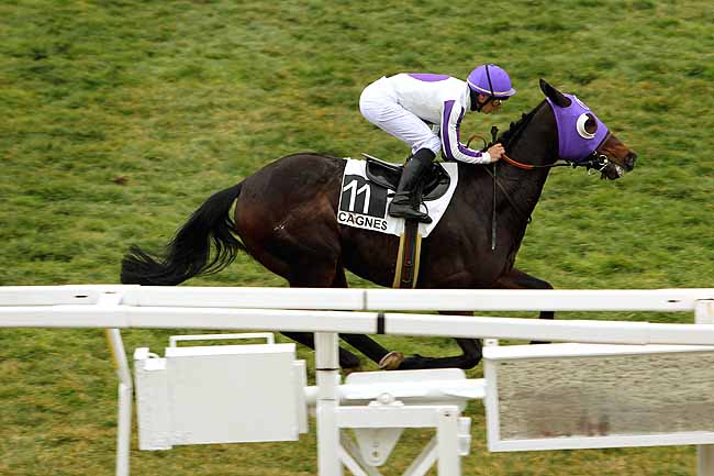 Arrivée quinté pmu PRIX DU LAUTARET à CAGNES-SUR-MER
