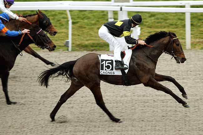 Arrivée quinté pmu PRIX JACQUES BOUCHARA à CAGNES-SUR-MER