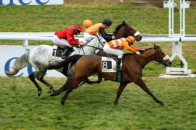 Arrivée quinté pmu GRAND PRIX DU CONSEIL GENERAL DES ALPES-MARITIMES à CAGNES-SUR-MER