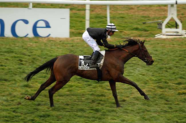 Arrivée quinté pmu PRIX DU GALIBIER à CAGNES-SUR-MER
