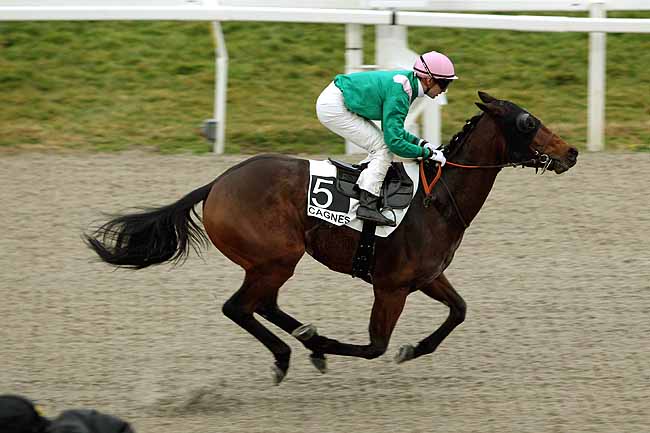 Arrivée quinté pmu PRIX JACQUES GELIOT à CAGNES-SUR-MER