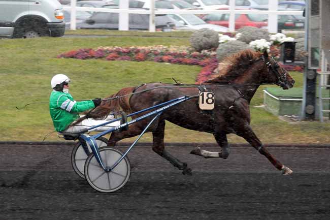 Arrivée quinté pmu PRIX DE LA MAYENNE (PRIX GRAS SAVOYE) à PARIS-VINCENNES