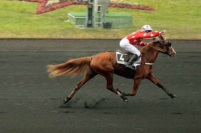 Arrivée quinté pmu PRIX PAUL BASTARD (PRIX LIDO) à PARIS-VINCENNES