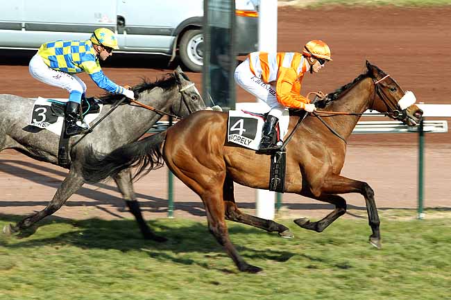 Arrivée quinté pmu PRIX DE CARRY à MARSEILLE-BORELY