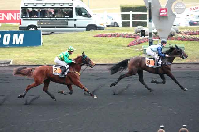 Arrivée quinté pmu PRIX FELICIEN GAUVREAU à PARIS-VINCENNES