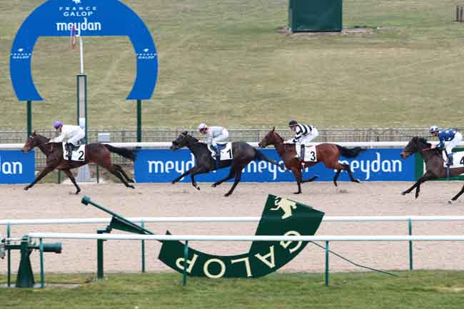 Arrivée quinté pmu PRIX DE LA PISTOLE à CHANTILLY