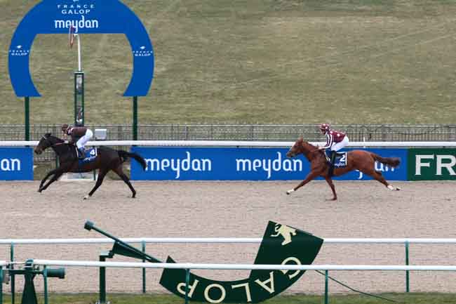 Arrivée quinté pmu PRIX BAB AL SHAMS DESERT RESORT & SPA à CHANTILLY