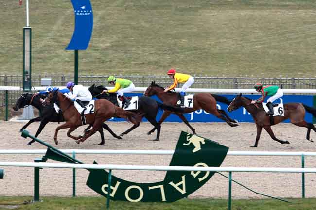 Arrivée quinté pmu PRIX DU BOIS DES BOULEAUX à CHANTILLY