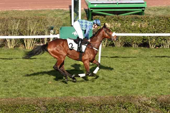 Arrivée quinté pmu PRIX AVRANCHIN à ENGHIEN